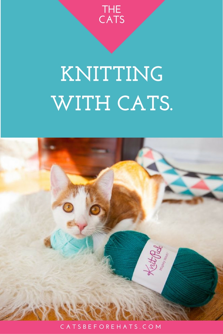 Knitting with Cats